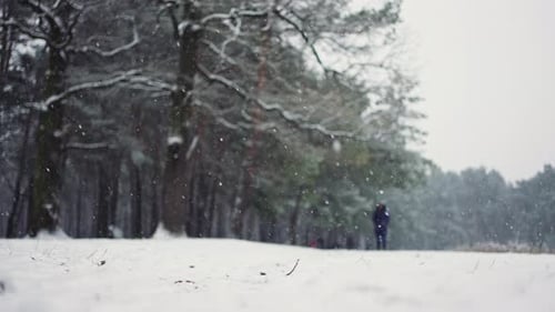 Winter Scene of Snowy Forest and Blurred Human Silhouette Walking Under Snowfall Enjoying Frosty
