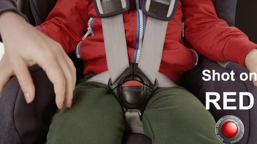 Fastening Car Seat Belt To A Baby For A Safety Trip Concept Of Safety and Buckle Up