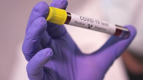 Negative Covid-19 Test, Gloved Hand Holding Vial