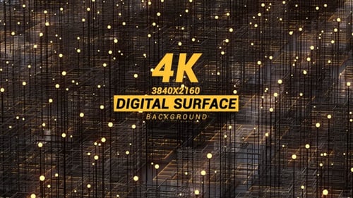 Digital Surface