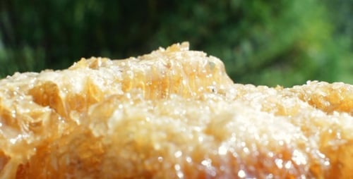 Pouring Honey Over Honeycomb