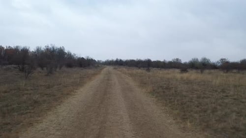 Flying over wild nature with mud road 4K drone video