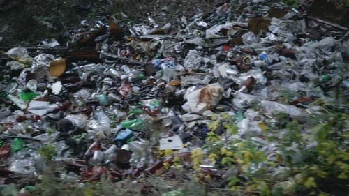 Filmmaterial: Waldverschmutzung. Müll im Wald
entsorgen