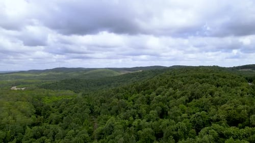 Drone flight over the north Istanbul forest. Cloudy sky and green nature