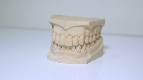 Dental Mold Close Up