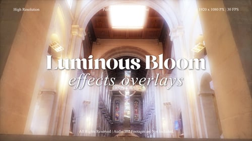 Luminous Bloom FX Overlays Pack for After Effects
