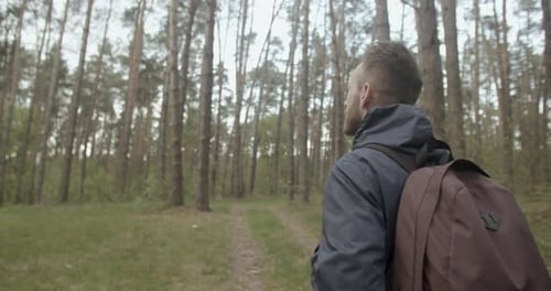 Spazieren im Wald