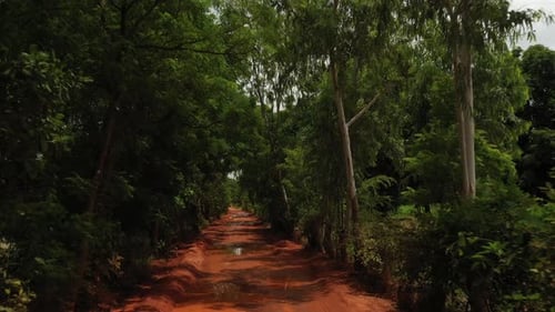 Africa Mali Red Road And Trees Aerial View