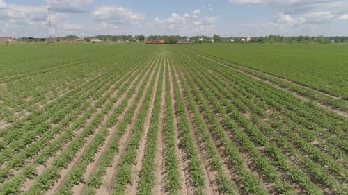 Aerial View of Farmland