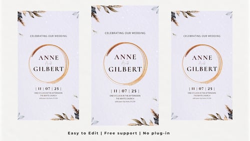 Vertical Wedding Intro