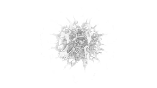 White Colors Moving Background Green Screen Motion Graphics Animated Background