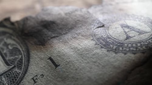 Verbrannte Dollar