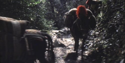 Super 8 Vintage Movie 09