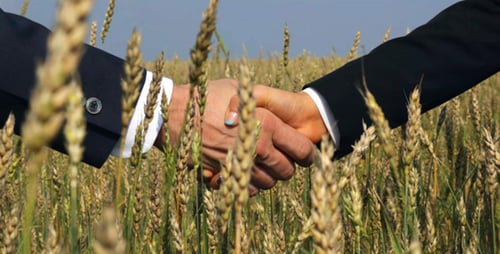 Business Deal Handshake in Wheat Field