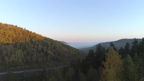 Flying over Autumn Forest to Foggy Valley