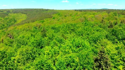 drone aerial flight over lush green summer forest and mountain landscape