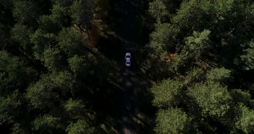 Aerial Top Down View of White Car Driving on Country Road in the Forest