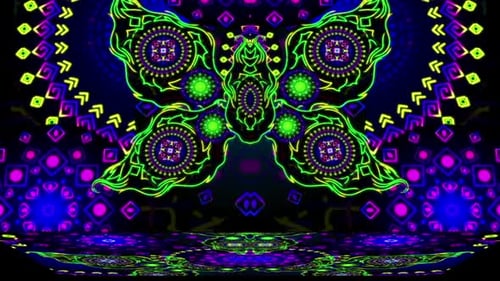 Neon Butterfly
