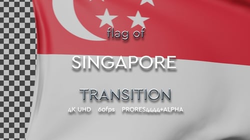 Realistic 3D Flag Unfurling Animation