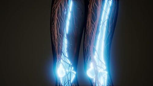 Human Anatomy X-Ray Scan with Glowing Bones and Organs