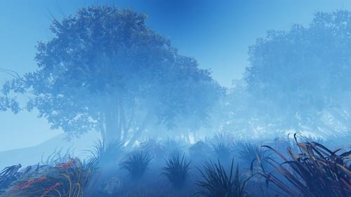 Misty Forest Reveal with Camera Movement