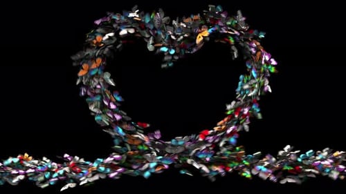 Colorful Butterflies Heart Shape Reveal Transition