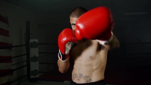 Shirtless Boxer Training with Punching in Boxing Ring