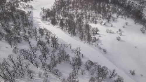 Aerial view of the ski resort with snowy mountain slopes and winter trees