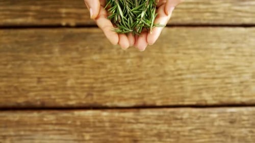 Mains d'une femme tenant du thym sur une plate-forme en bois 4k