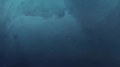 Dunkelblaue Tinte fällt in dunkelblaues Wasser und löst sich auf. Makroaufnahme, Seitenansicht.