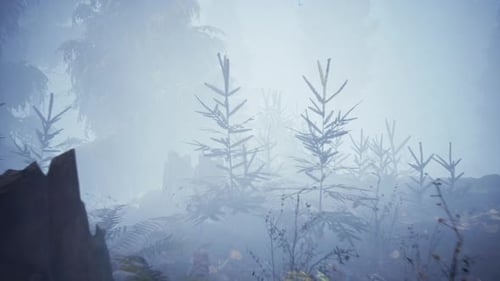 Scary mystical dark foggy forest in motion Flythrough animation 4K