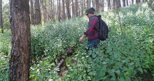 Wandern Spazieren