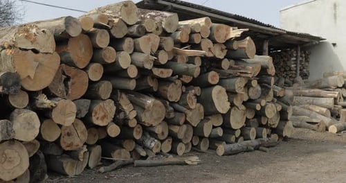 Stacked Logs of Cut Timber in Rural Setting