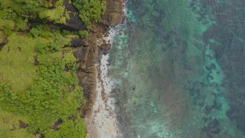Tropical Beach