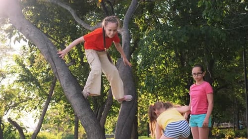 Girls Playing and Climbing on Tree in Park