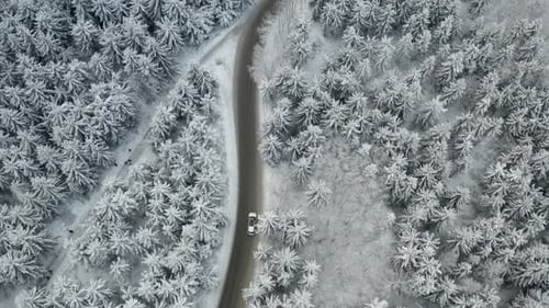 Aerial View of a Road Through the Winter Frozen Forest with Driving Cars