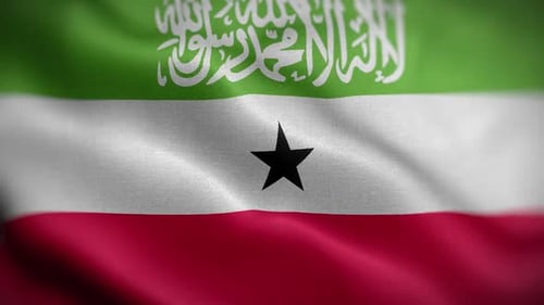 Waving Somaliland Flag with Fabric Texture Animation