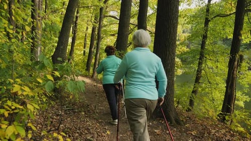 Senior Women Hiking in Lush Green Forest