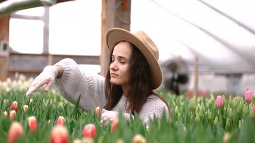 Woman Tending Colorful Tulips in Greenhouse