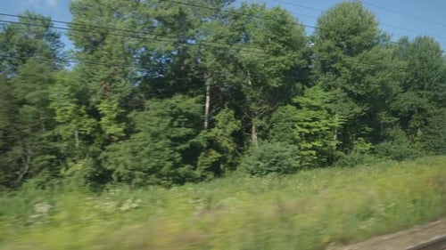 High-Speed Train Fast Moves Past A Trees And A Fields In The Summer Day