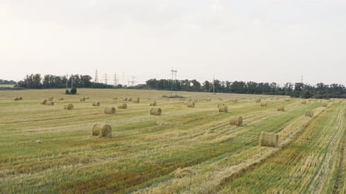 Field Stack Of Hay Sunset