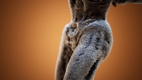 Horror Zombie Creature Detail Reveal with Textured Skin 3D Render