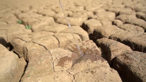 Pure Fresh Water Flows Onto the Sandy Soil of the Desert