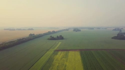 Aerial View of Lush Green Farmland