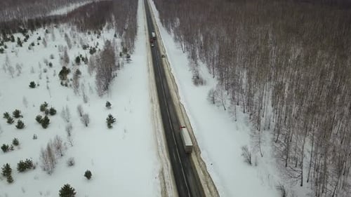 Trucks On The Winter Forest Road