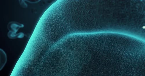 Dynamic Microscopic View of Glowing Biological Cells and Particles