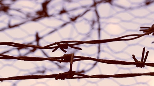 Barbed Wire Fence Against Sky, Silhouette