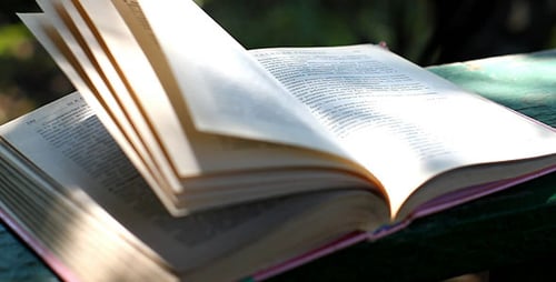 Scrolling Book On The Wind