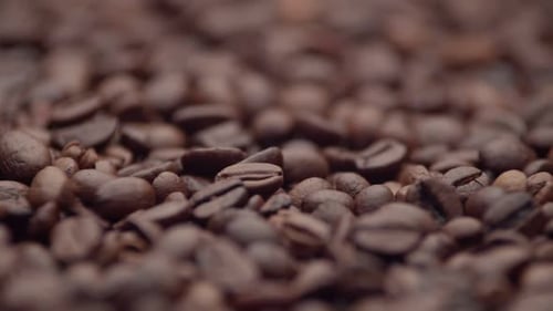 Macro shot of Roasted Coffee Beans
