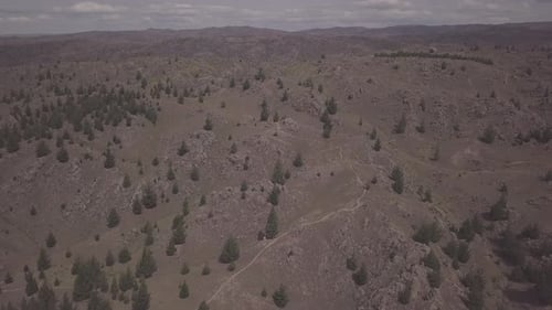Arid landscape in New Zealand